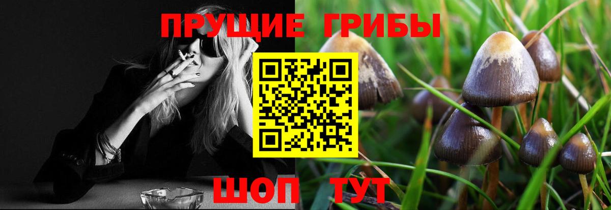 Псилоцибиновые грибы Psilocybine cubensis Мелеуз